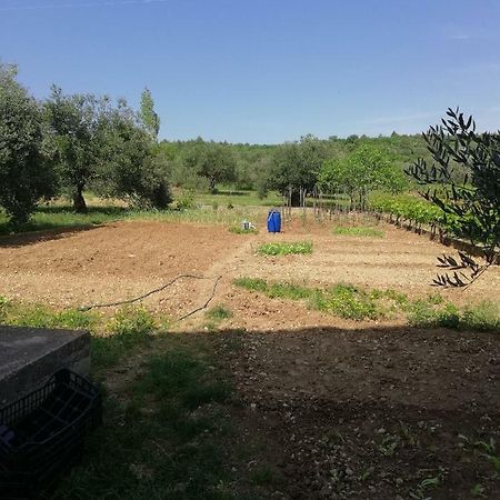 Apartmani Sladic Skradin Exterior foto
